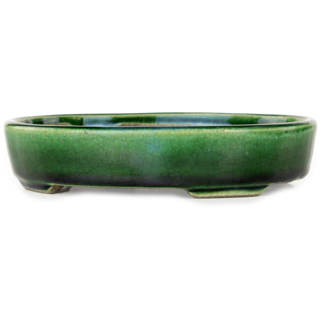 Pot à bonsaï ovale vert par Terahata Satomi Mazan - 160 x 130 x 34 mm