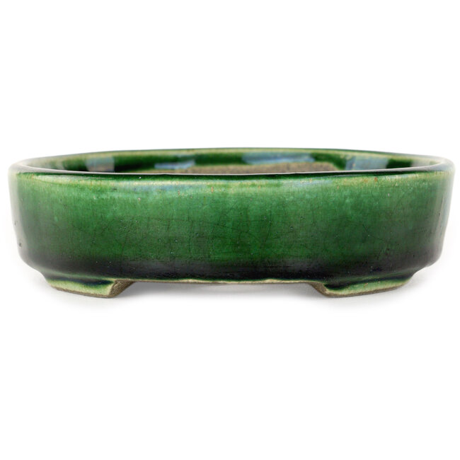 Vaso bonsai ovale verde di Terahata Satomi Mazan - 160 x 130 x 34 mm