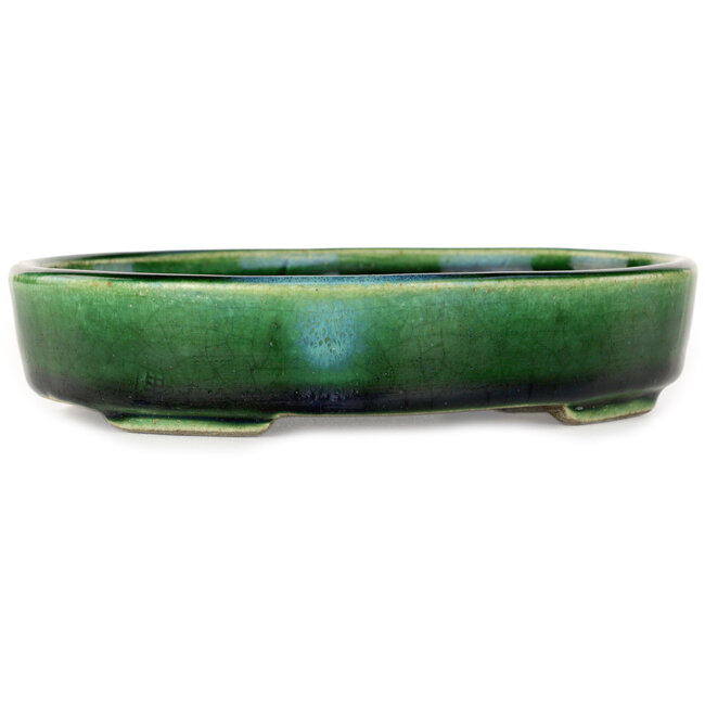 Maceta ovalada para bonsái verde de Terahata Satomi Mazan - 160 x 130 x 34 mm