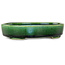 Oval green bonsai pot by Terahata Satomi Mazan - 160 x 130 x 34 mm