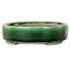 Ovale groene bonsaipot van Terahata Satomi Mazan - 160 x 130 x 34 mm