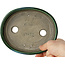 Oval green bonsai pot by Terahata Satomi Mazan - 160 x 130 x 34 mm