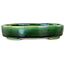 Pot à bonsaï ovale vert par Terahata Satomi Mazan - 160 x 130 x 34 mm