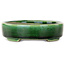 Ovale groene bonsaipot van Terahata Satomi Mazan - 160 x 130 x 34 mm