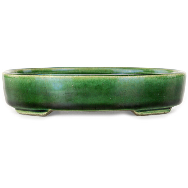 Ovale groene bonsaipot van Terahata Satomi Mazan - 160 x 130 x 34 mm