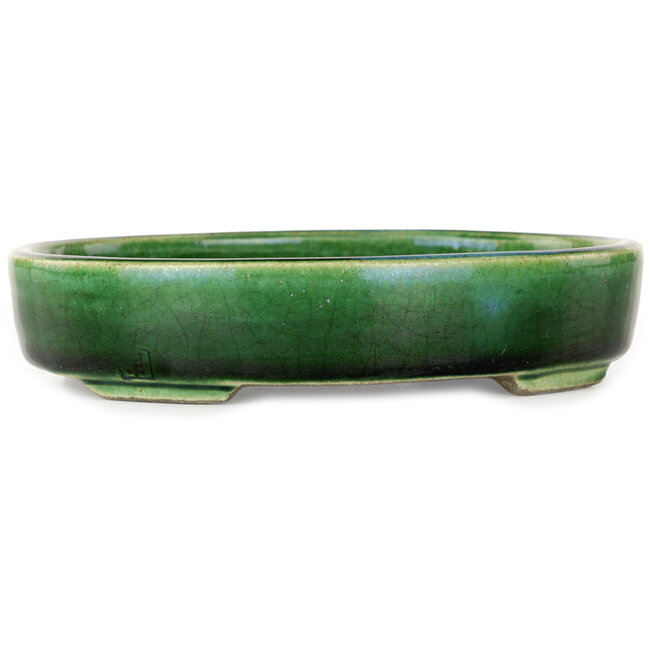 Vaso bonsai ovale verde di Terahata Satomi Mazan - 160 x 130 x 34 mm