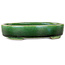 Oval green bonsai pot by Terahata Satomi Mazan - 160 x 130 x 34 mm