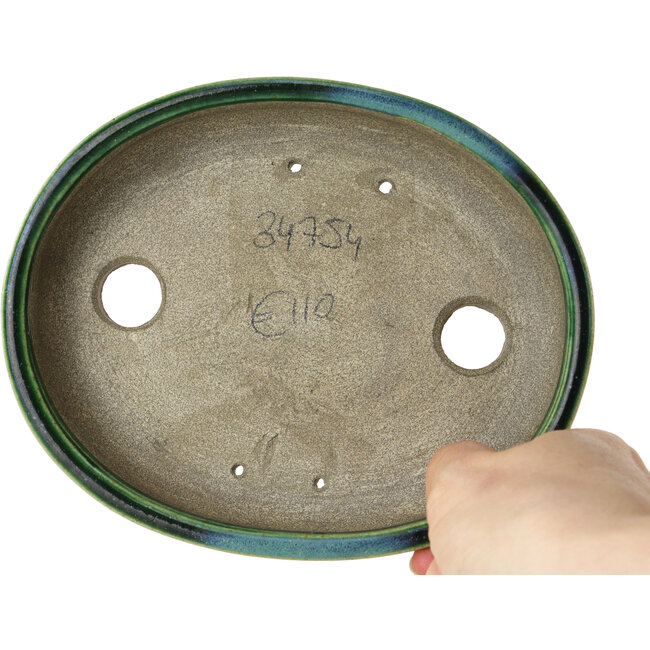 Maceta ovalada para bonsái verde de Terahata Satomi Mazan - 160 x 130 x 34 mm