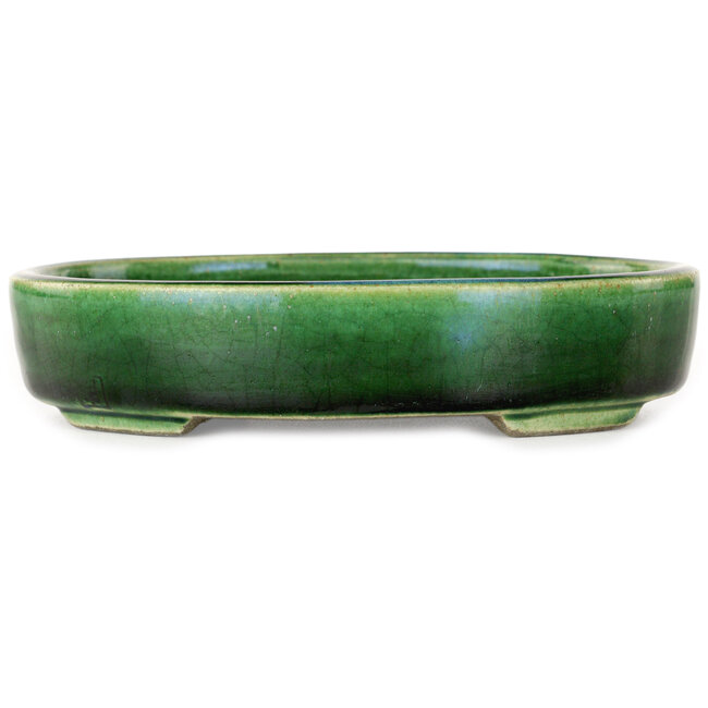 Maceta ovalada para bonsái verde de Terahata Satomi Mazan - 160 x 130 x 34 mm