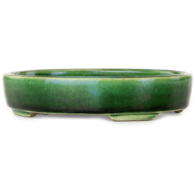Vaso bonsai ovale verde di Terahata Satomi Mazan - 160 x 130 x 34 mm