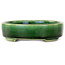 Pot à bonsaï ovale vert par Terahata Satomi Mazan - 160 x 130 x 34 mm