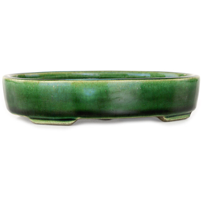 Pot à bonsaï ovale vert par Terahata Satomi Mazan - 160 x 130 x 34 mm