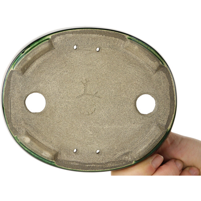 Maceta ovalada para bonsái verde de Terahata Satomi Mazan - 160 x 130 x 34 mm