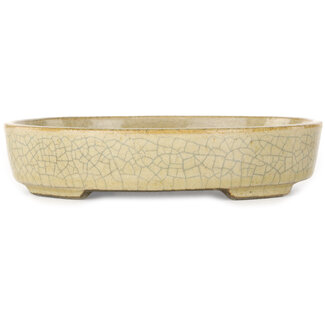  Satomi Mazan, Mazan Terahata 160 mm  beige craquelé bonsai pot by Terahata Satomi Mazan, Tokoname, Japan