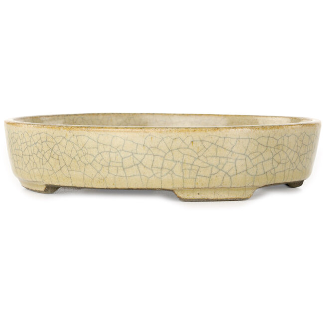 Vaso bonsai ovale beige craquelé di Terahata Satomi Mazan - 160 x 130 x 34 mm