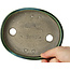 Vaso bonsai ovale verde di Terahata Satomi Mazan - 160 x 130 x 34 mm
