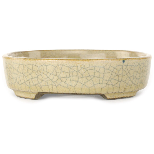 Maceta ovalada para bonsái craquelé beige de Terahata Satomi Mazan - 160 x 130 x 34 mm