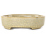 Oval beige craquelé bonsai pot by Terahata Satomi Mazan - 160 x 130 x 34 mm