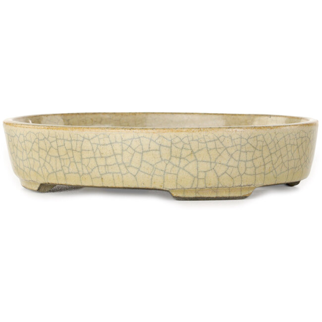 Pot à bonsaï ovale beige craquelé par Terahata Satomi Mazan - 160 x 130 x 34 mm