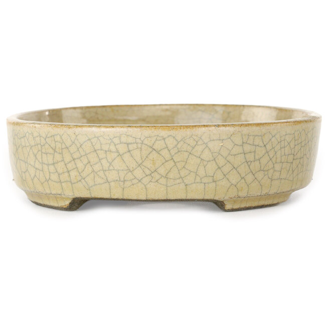 Oval beige craquelé bonsai pot by Terahata Satomi Mazan - 160 x 130 x 34 mm