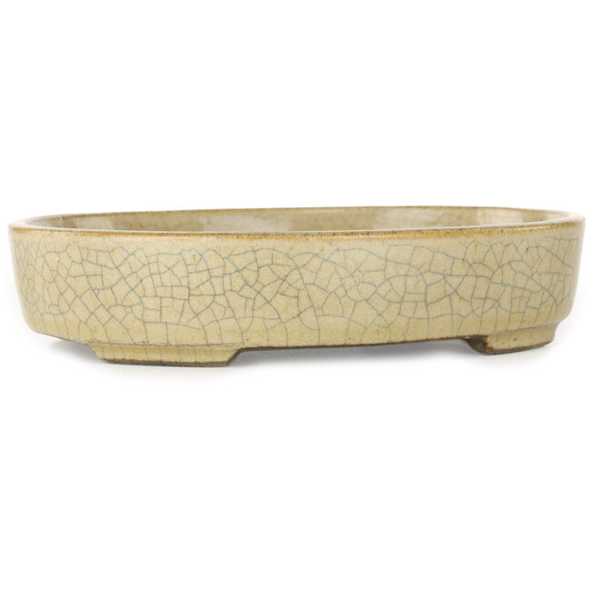 Ovaler beigefarbener Craquelé-Bonsaitopf von Terahata Satomi Mazan – 160 x 130 x 34 mm