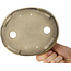Oval beige craquelé bonsai pot by Terahata Satomi Mazan - 160 x 130 x 34 mm