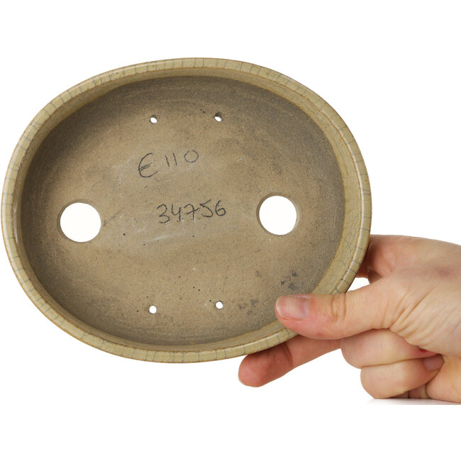 Ovaler beigefarbener Craquelé-Bonsaitopf von Terahata Satomi Mazan – 160 x 130 x 34 mm