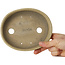 Oval beige craquelé bonsai pot by Terahata Satomi Mazan - 160 x 130 x 34 mm