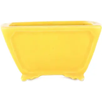 Seizan Vaso bonsai quadrato giallo da 103 mm di Seizan, Giappone