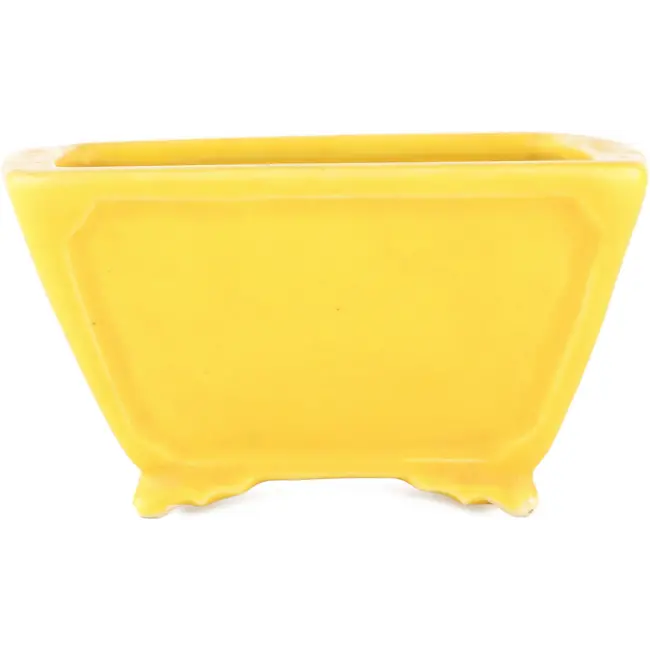 Vaso bonsai quadrato giallo di Seizan - 103 x 104 x 57 mm