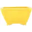Maceta cuadrada amarilla para bonsái de Seizan - 103 x 104 x 57 mm