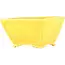 Vaso bonsai quadrato giallo di Seizan - 103 x 104 x 57 mm