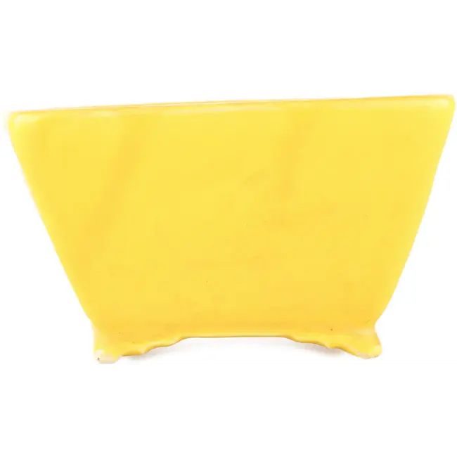 Vierkante gele bonsaipot van Seizan - 103 x 104 x 57 mm