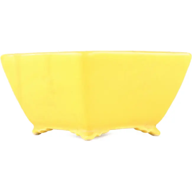 Vierkante gele bonsaipot van Seizan - 103 x 104 x 57 mm