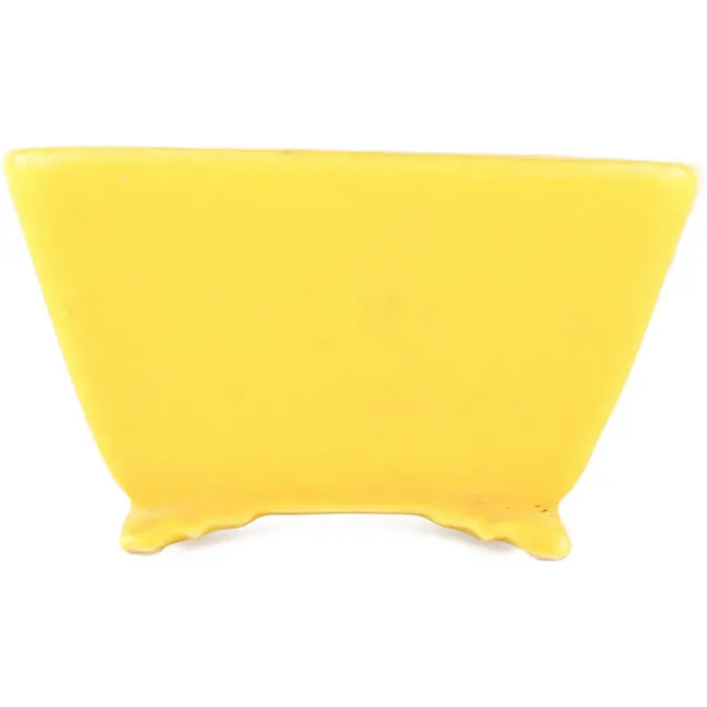 Maceta cuadrada amarilla para bonsái de Seizan - 103 x 104 x 57 mm