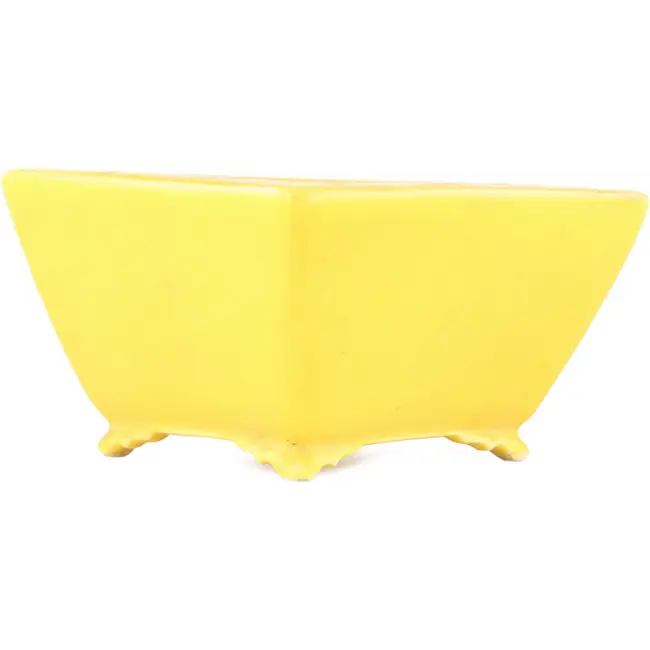 Maceta cuadrada amarilla para bonsái de Seizan - 103 x 104 x 57 mm