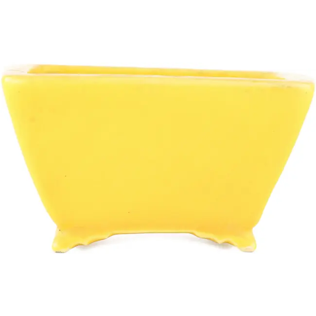 Maceta cuadrada amarilla para bonsái de Seizan - 103 x 104 x 57 mm