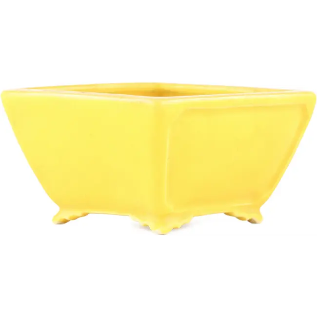 Maceta cuadrada amarilla para bonsái de Seizan - 103 x 104 x 57 mm