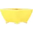 Pot à bonsaï carré jaune de Seizan - 103 x 104 x 57 mm
