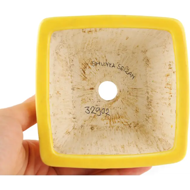 Pot à bonsaï carré jaune de Seizan - 103 x 104 x 57 mm
