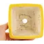 Vaso bonsai quadrato giallo di Seizan - 103 x 104 x 57 mm