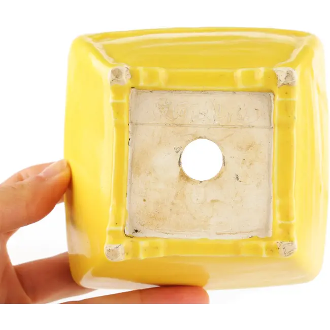 Pot à bonsaï carré jaune de Seizan - 103 x 104 x 57 mm