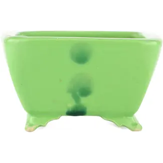 Seizan Vaso bonsai verde quadrato da 100 mm di Seizan, Giappone