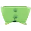 Vaso bonsai quadrato verde di Seizan - 100 x 97 x 55 mm