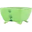 Pot à bonsaï carré vert de Seizan - 100 x 97 x 55 mm