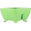 Maceta cuadrada verde para bonsái de Seizan - 100 x 97 x 55 mm