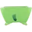 Square green bonsai pot by Seizan - 100 x 97 x 55 mm