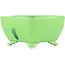 Vierkante groene bonsaipot van Seizan - 100 x 97 x 55 mm