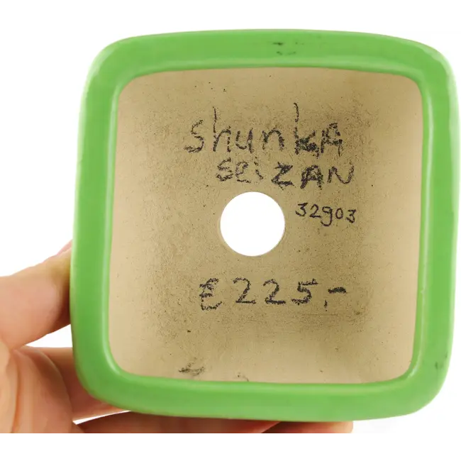 Square green bonsai pot by Seizan - 100 x 97 x 55 mm