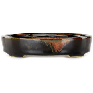  Satomi Mazan, Mazan Terahata Vaso bonsai marrone da 140 mm di Terahata Satomi Mazan, Tokoname, Giappone